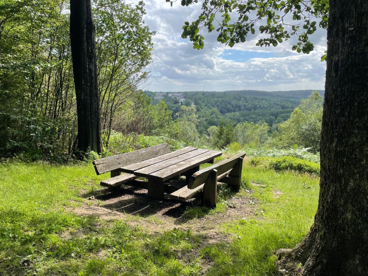 Gite La Semois Chiny Exteriör bild